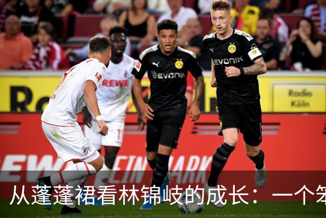 从蓬蓬裙看林锦岐的成长：一个笨拙男主的爱情探险
